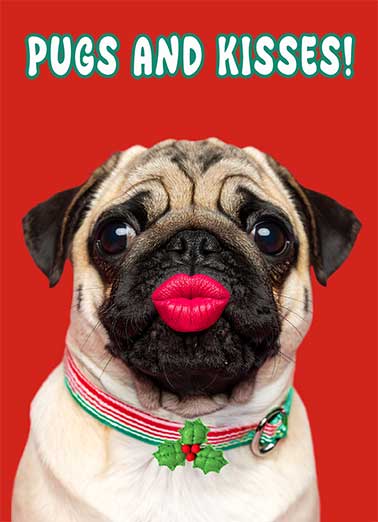 Pugs And Kisses Christmas Funny  Card  Send someone a personalized greeting card just in time for the holidays! | pugs and kisses Christmas cheer kiss mistletoe smooch pooch dog  Love to you at Christmas!